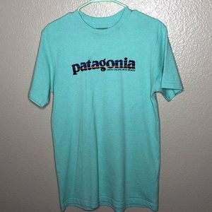 Patagonia tee